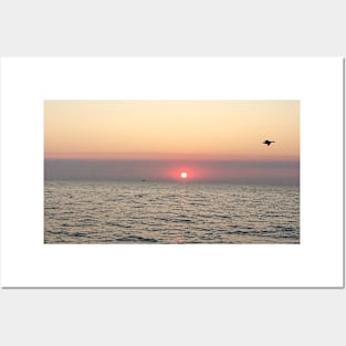 Lone Duck at Sunrise Lake Michigan Chicago Posters and Art